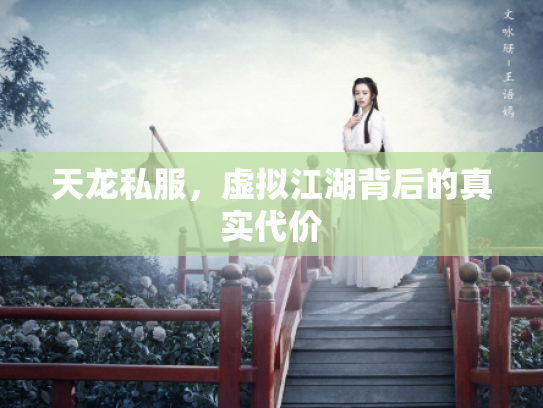 天龙私服，虚拟江湖背后的真实代价