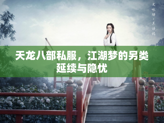 天龙八部私服，江湖梦的另类延续与隐忧