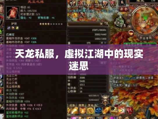 天龙私服，虚拟江湖中的现实迷思