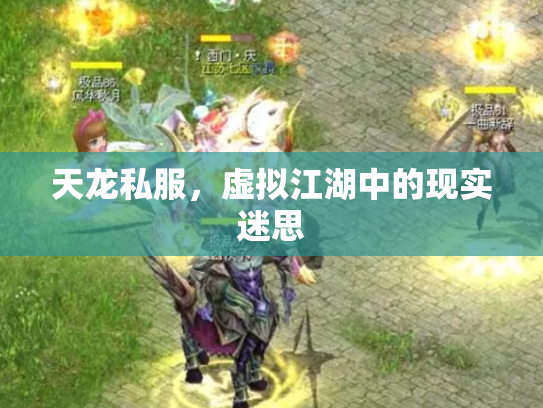 天龙私服，虚拟江湖中的现实迷思