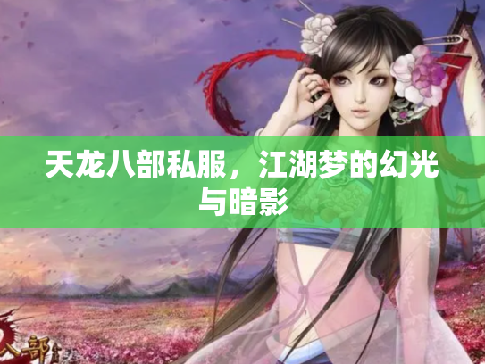 天龙八部私服，江湖梦的幻光与暗影
