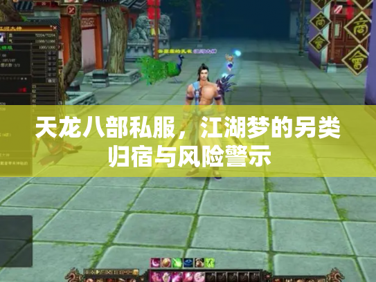 天龙八部私服，江湖梦的另类归宿与风险警示