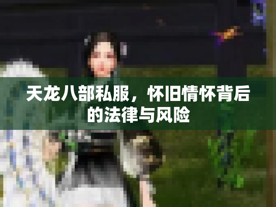 天龙八部私服，怀旧情怀背后的法律与风险