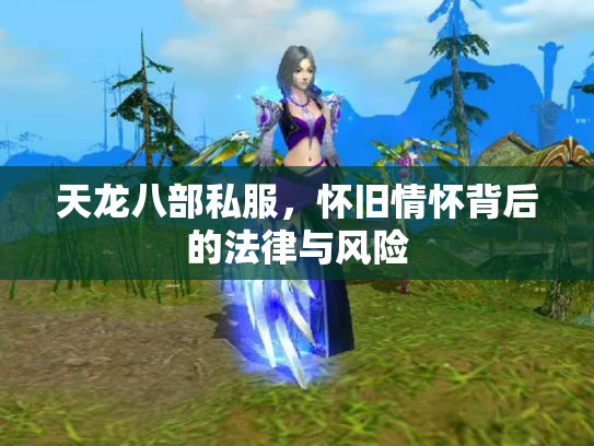 天龙八部私服，怀旧情怀背后的法律与风险