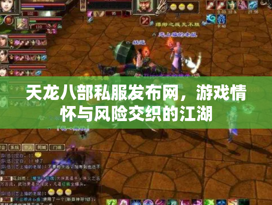 天龙八部私服发布网，游戏情怀与风险交织的江湖