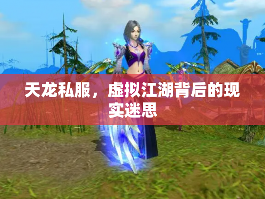 天龙私服，虚拟江湖背后的现实迷思