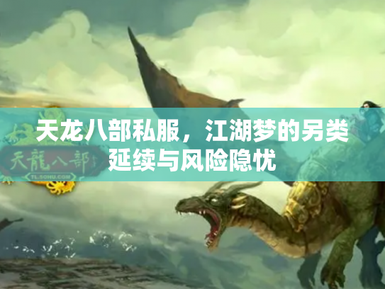 天龙八部私服，江湖梦的另类延续与风险隐忧
