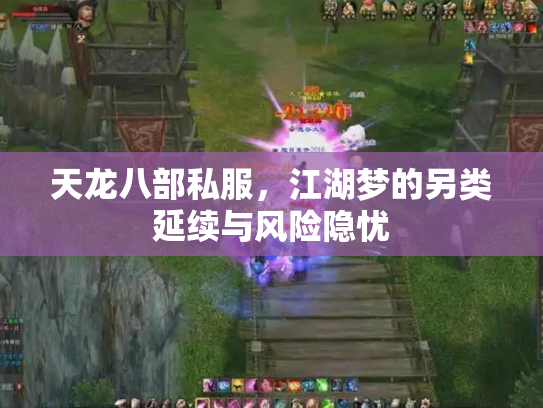天龙八部私服，江湖梦的另类延续与风险隐忧