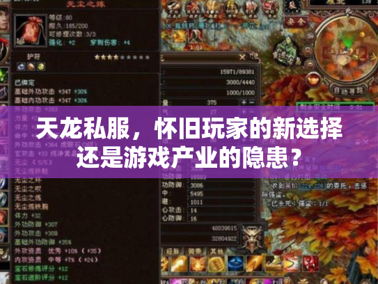天龙私服，怀旧玩家的新选择还是游戏产业的隐患？