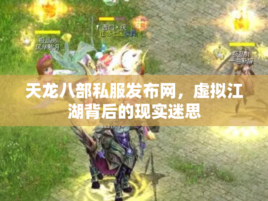 天龙八部私服发布网，虚拟江湖背后的现实迷思