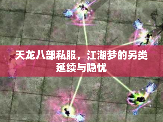 天龙八部私服，江湖梦的另类延续与隐忧