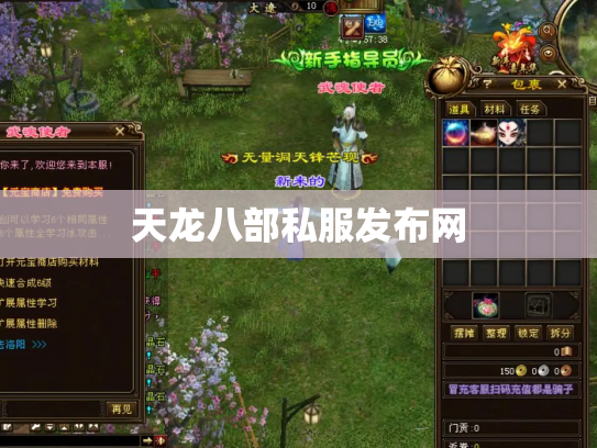 天龙八部私服发布网