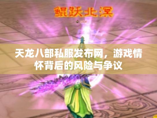 天龙八部私服发布网，游戏情怀背后的风险与争议