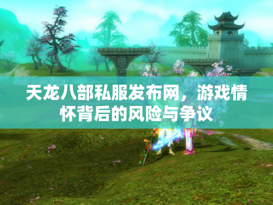 天龙八部私服发布网，游戏情怀背后的风险与争议