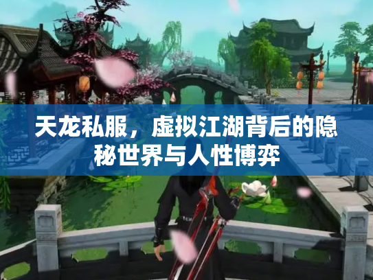 天龙私服，虚拟江湖背后的隐秘世界与人性博弈