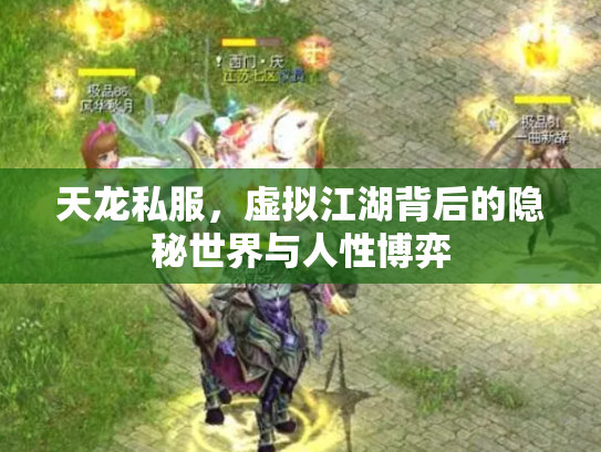 天龙私服，虚拟江湖背后的隐秘世界与人性博弈