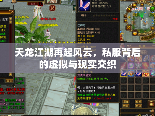 天龙江湖再起风云，私服背后的虚拟与现实交织