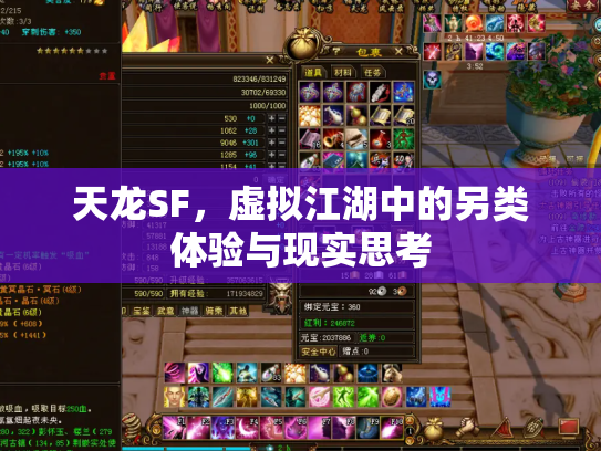 天龙SF，虚拟江湖中的另类体验与现实思考
