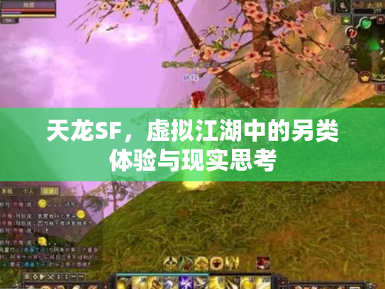 天龙SF，虚拟江湖中的另类体验与现实思考