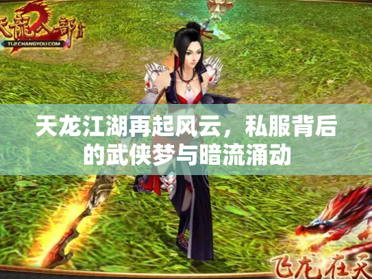 天龙江湖再起风云，私服背后的武侠梦与暗流涌动