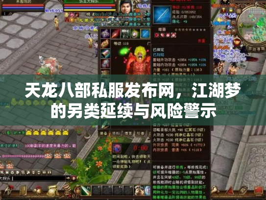 天龙八部私服发布网，江湖梦的另类延续与风险警示