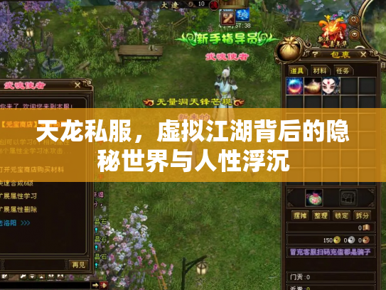 天龙私服，虚拟江湖背后的隐秘世界与人性浮沉
