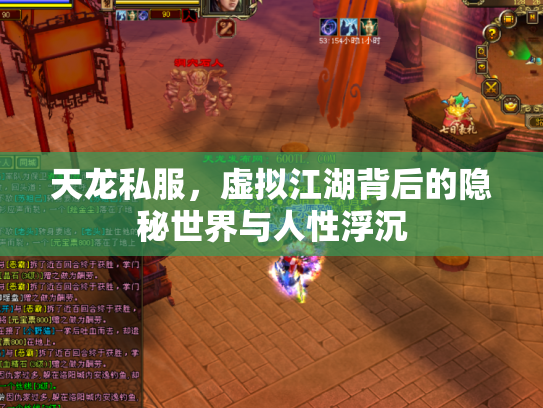 天龙私服，虚拟江湖背后的隐秘世界与人性浮沉