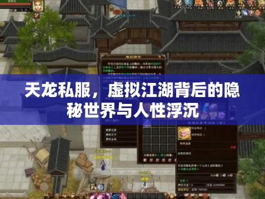 天龙私服，虚拟江湖背后的隐秘世界与人性浮沉