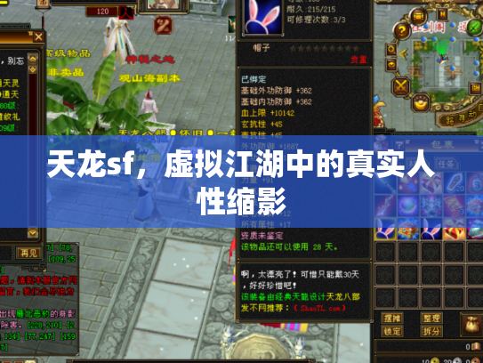 天龙sf，虚拟江湖中的真实人性缩影