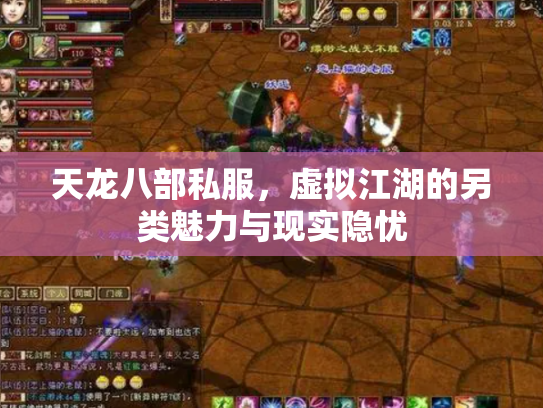 天龙八部私服，虚拟江湖的另类魅力与现实隐忧