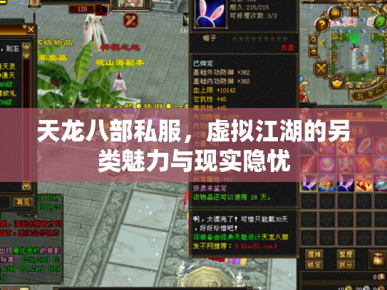 天龙八部私服，虚拟江湖的另类魅力与现实隐忧