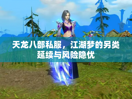 天龙八部私服，江湖梦的另类延续与风险隐忧