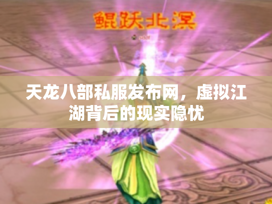 天龙八部私服发布网，虚拟江湖背后的现实隐忧