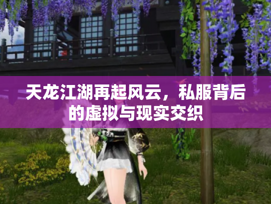 天龙江湖再起风云，私服背后的虚拟与现实交织