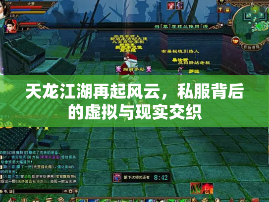 天龙江湖再起风云，私服背后的虚拟与现实交织