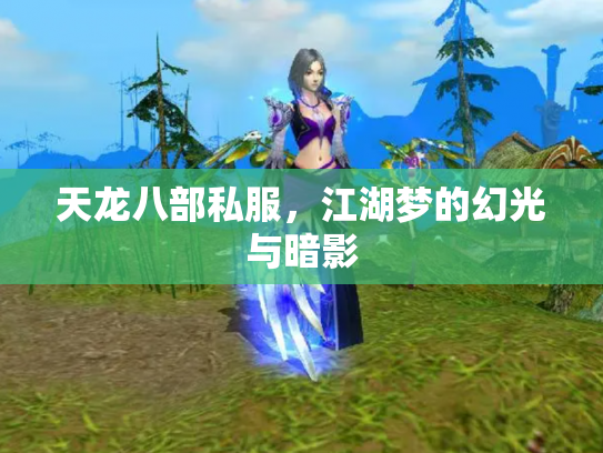 天龙八部私服，江湖梦的幻光与暗影