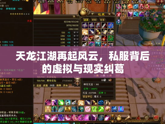 天龙江湖再起风云，私服背后的虚拟与现实纠葛