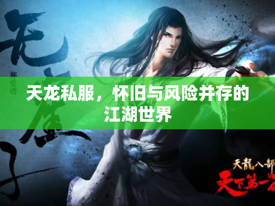 天龙私服，怀旧与风险并存的江湖世界