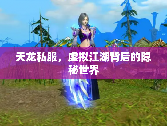 天龙私服，虚拟江湖背后的隐秘世界