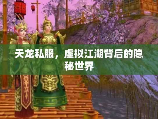 天龙私服，虚拟江湖背后的隐秘世界