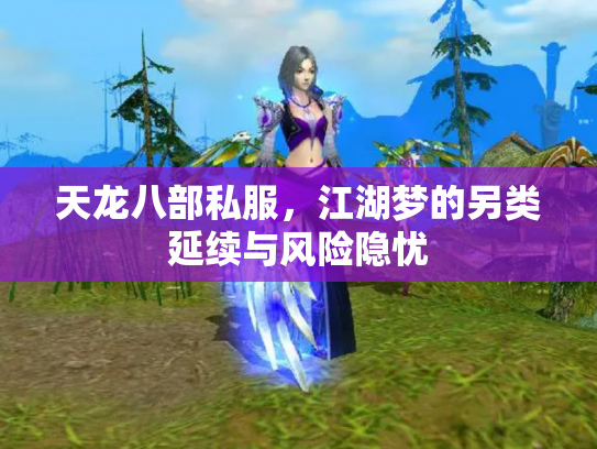 天龙八部私服，江湖梦的另类延续与风险隐忧