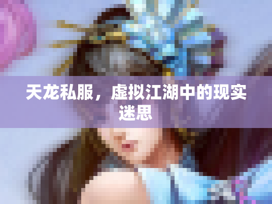 天龙私服，虚拟江湖中的现实迷思