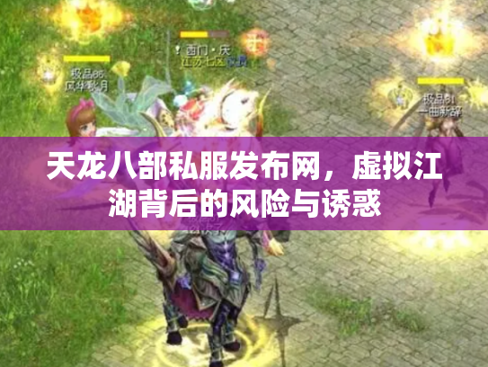 天龙八部私服发布网，虚拟江湖背后的风险与诱惑