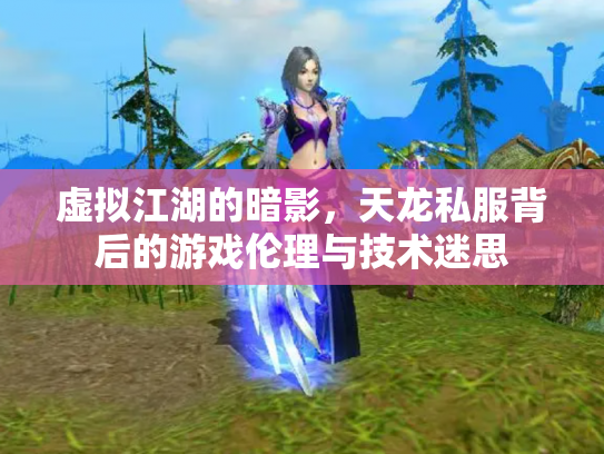 虚拟江湖的暗影，天龙私服背后的游戏伦理与技术迷思