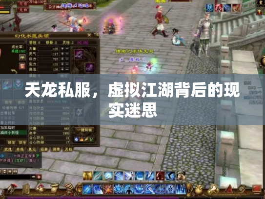 天龙私服，虚拟江湖背后的现实迷思