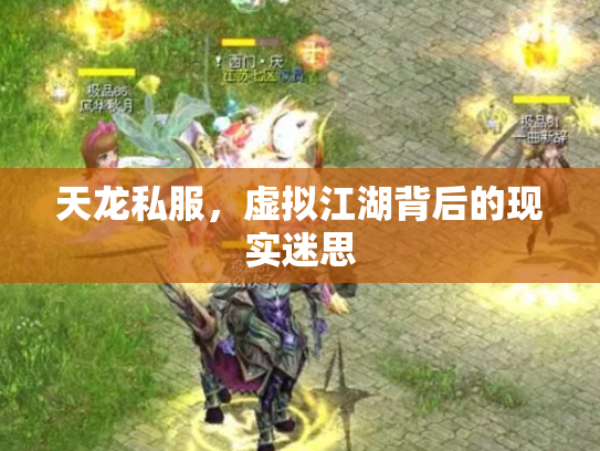 天龙私服，虚拟江湖背后的现实迷思