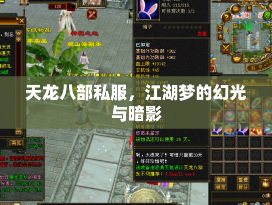 天龙八部私服，江湖梦的幻光与暗影
