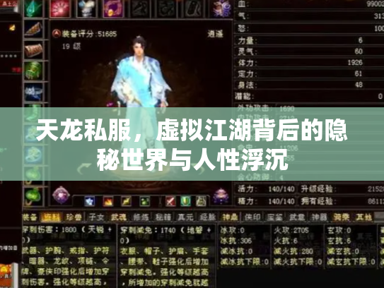 天龙私服，虚拟江湖背后的隐秘世界与人性浮沉