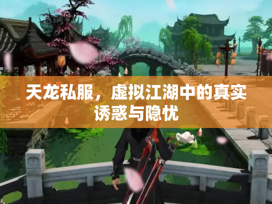 天龙私服，虚拟江湖中的真实诱惑与隐忧