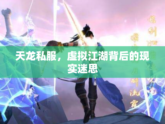 天龙私服，虚拟江湖背后的现实迷思